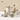 CAROTE Universal Stainless Steel Ceramics Set from CAROTE