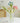 LIVETAI Creative Assembly Toy Flower from maija