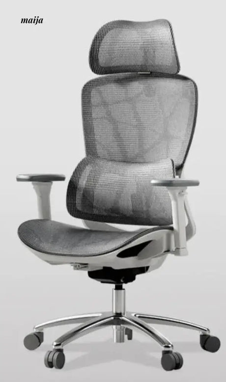 Black and White E2PRO Ergonomic Chair from Hbada