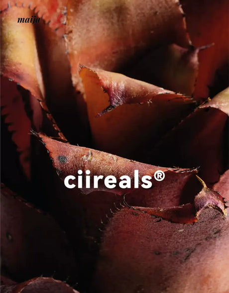 CIIREALS Heavy Rain Ceramic Planter from CIIREALS