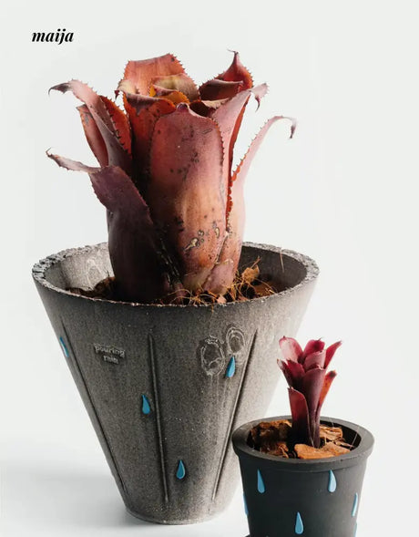 CIIREALS Heavy Rain Ceramic Planter from CIIREALS