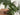 LILY WHITE Minimal Modern Scandinavian Artificial Plant from LILY WHITE