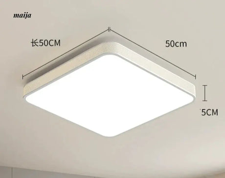 GVG LED Ceiling Light from GVG