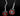 KANGSITE Commercial Fixed Barbell for Gym Workouts with 100kg Capacity from KANGSITE