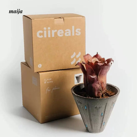 CIIREALS Heavy Rain Ceramic Planter from CIIREALS