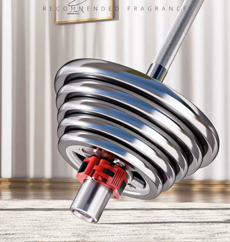 KANGSITE Electroplated Cast Iron Barbell Plates for Home and Commercial Fitness from KANGSITE