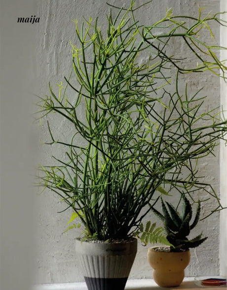 CIIREALS Overnight Muffin Ceramic Planter from maija