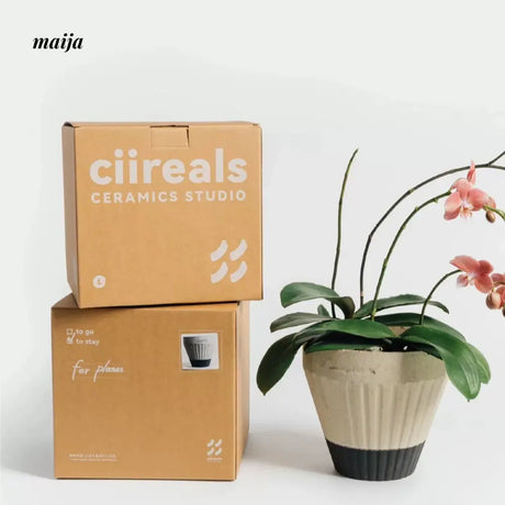 CIIREALS Overnight Muffin Ceramic Planter from maija