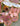 LYNN Japanese Internet Celebrity Ceiling Lamp from Lynn's Lamp