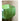 GUIFOU Square Glazed Green Vase from GUIFOU