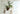 OGI NO RYOHIN Screen Partition for Living Room and Office from OGI NO RYOHIN