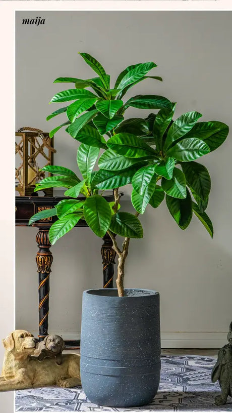 Artificial Loquat Plant from maija