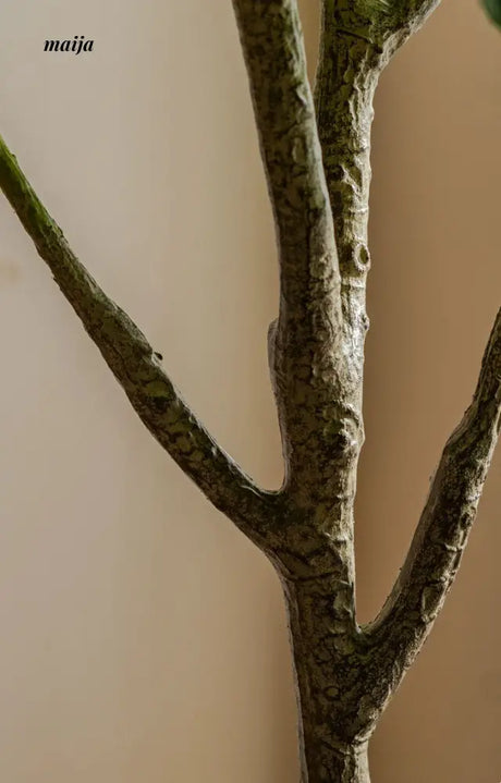 Artificial Loquat Plant from maija