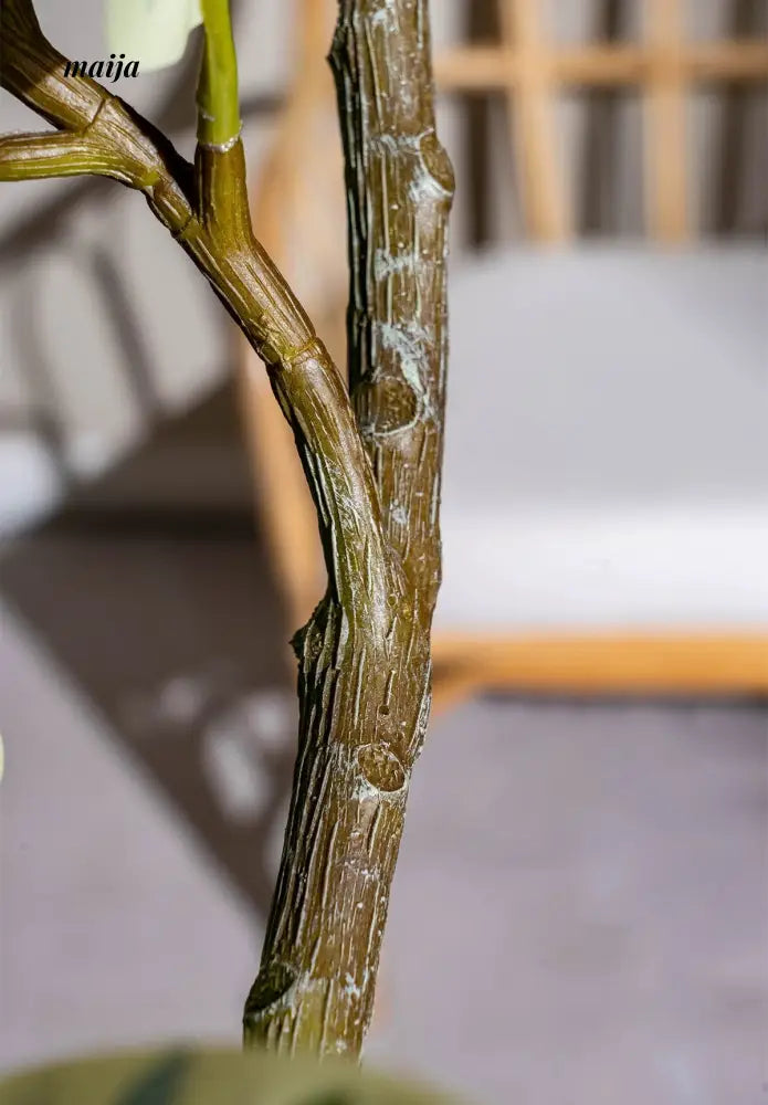 Artificial Golden Banyan Rubber Plant from maija