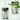 LENYVASEN Aria Wall-Mounted Hydroponic Vase from LENYVASEN
