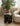 Waltz Side Table from maija