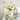 LIVETAI Glossy Milky Cream Vase from maija