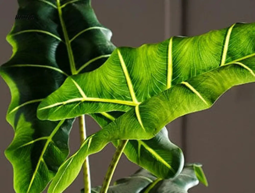 Artificial Salian Calla Lily Plant from maija
