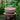 JUHAN Sakura Haruki Large Breathable Flowerpot from JUHAN