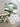 Emerald Mosaic Marble Tiles from LIZARD KING