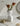 LIVETAI Scandinavian Resin Statue Vase from maija
