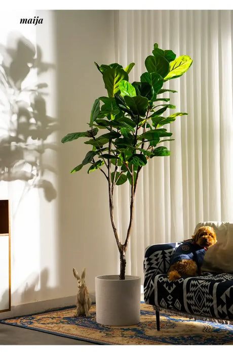 Artificial Fig Plant from Royal Forest