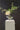 TODAYARTIST Orion Irregular Glass Valley Vase for Flower Arrangements from TODAYARTIST