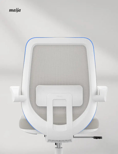 Alexa Ergonomic Padded Office Chair from Hbada