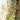 ZHANG MEIMEI American Pastoral 3D Window Curtain from ZHANG MEIMEI