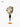 SOFTSERVE Natural Conch Shell Wine Stopper from softserve