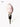 SOFTSERVE Natural Conch Shell Wine Stopper from softserve