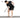 JOINFIT Elastic Training Pull Rod Recovery Exercise Tool from JOINFIT