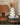 HOMESIDE Circle Vase from HOMESIDE