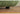 SMALL HIBISCUS Cream Sofa Small Apartment from SMALL HIBISCUS