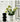 BANKE Retro Jewelry Hydrolate Brand Decorations from BANKE