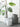 Rocco Nordic Style Gazebo Floor Decor Flower Pot from maija