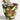 CIIREALS  Pigment Ceramic Planter from CIIREALS