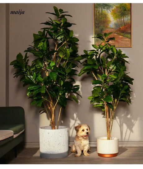 Artificial Rubber Plant from maija