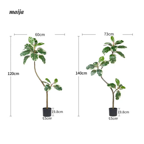 Artificial Golden Banyan Rubber Plant from maija