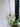LYNN Japanese Internet Celebrity Ceiling Lamp from Lynn's Lamp