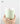 KULE HOME Ceramic Toothbrush Cup and Mouthwash Holder from KULE HOME