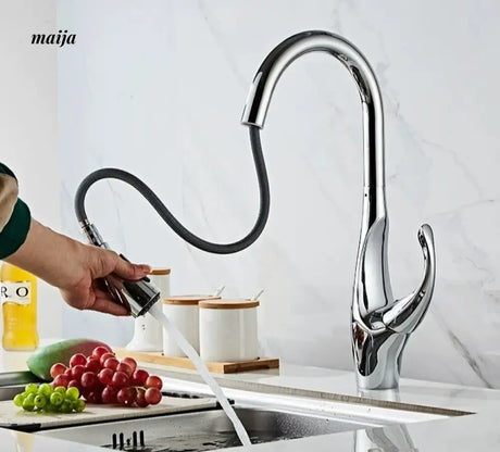 Extendable Multi-function Kitchen Faucet from Kaiyashi