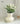 Classic Wide Mouth Ceramic Vase from NICEMOON
