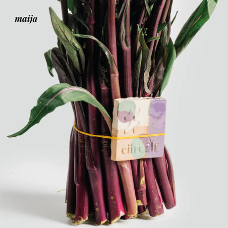 CIIREALS Eggplant Ceramic Planter from maija