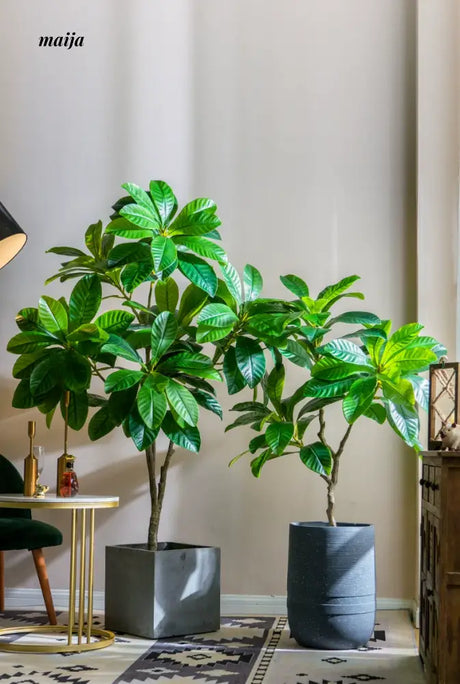 Artificial Loquat Plant from maija