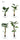 Artificial Monstera Plant from maija