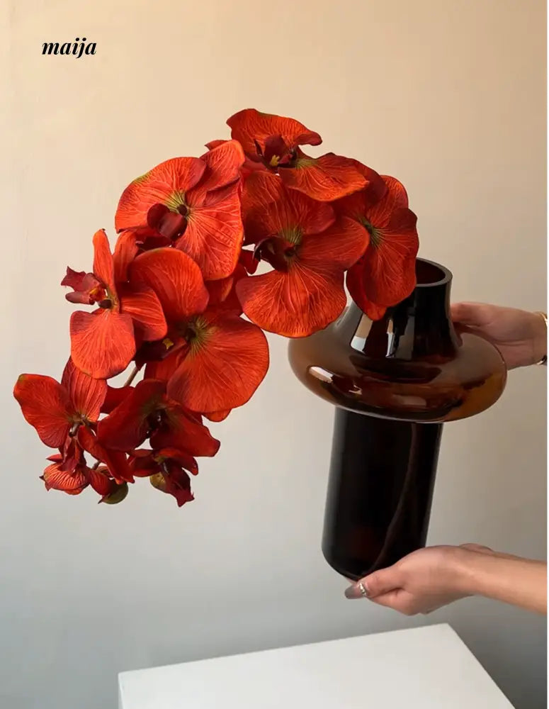 LIVETAI Light Luxury Brown Glass Vase from maija