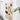 MAN YUE HOME Handmade Woven Tapestry for Bedroom or Living Room from JOINFIT