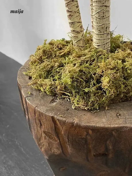 LILY WHITE Minimal Modern Scandinavian Artificial Plant from LILY WHITE
