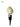 SOFTSERVE Natural Conch Shell Wine Stopper from softserve